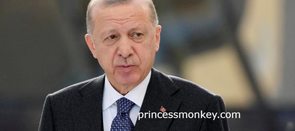 Erdogan